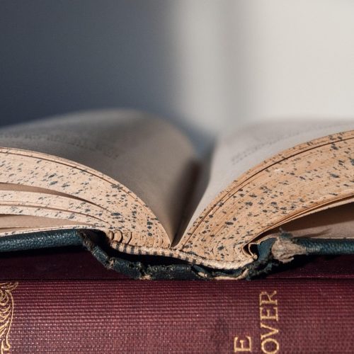 Exemple de omonime utile pentru exerciții școlare